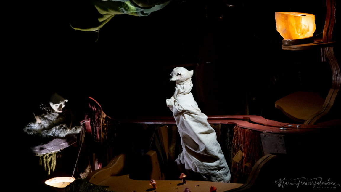 45, de la Taupinière | Théâtre des Petites Âmes