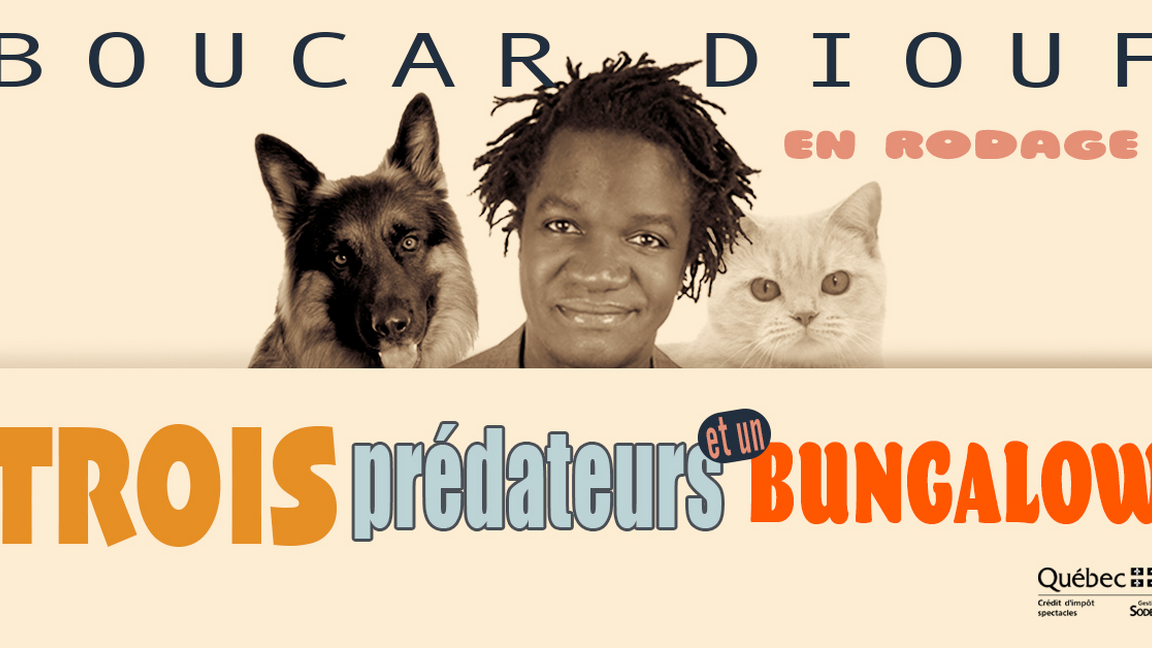 Trois prédateurs et un bungalow (en rodage) - Boucar Diouf