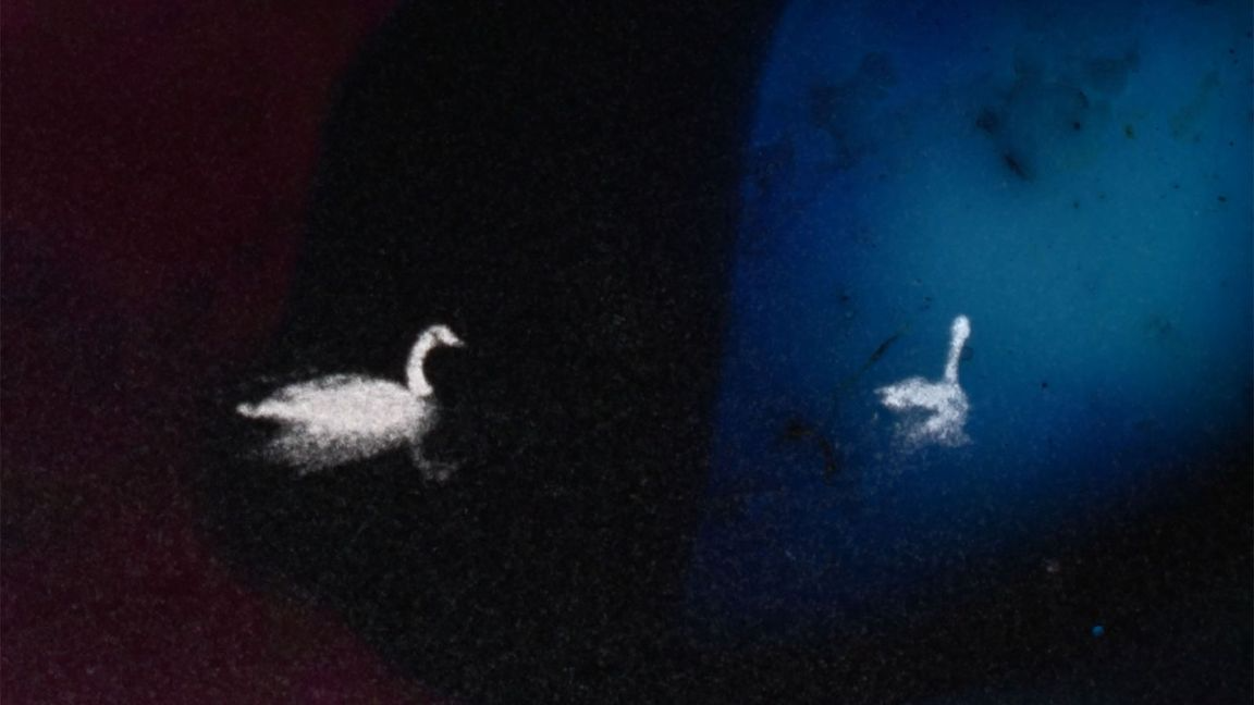 Still Becoming (En devenir) - Groupe Intervention Vidéo (GIV)