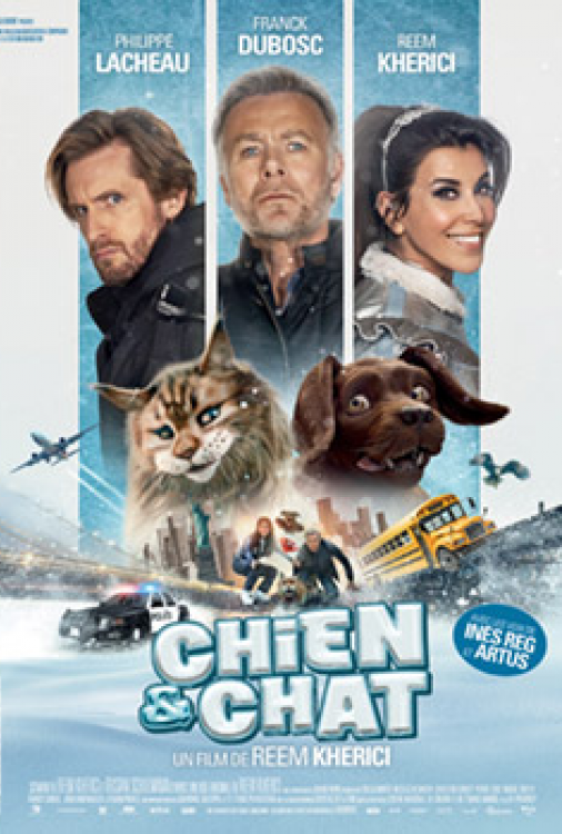 Chien et chat