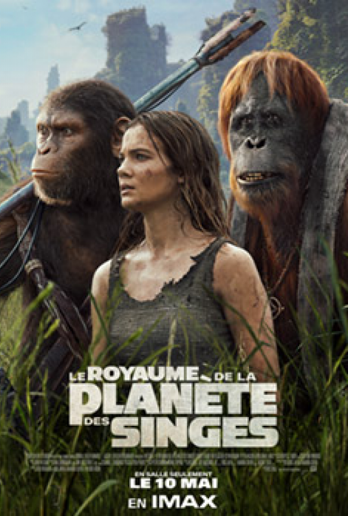 Royaume de la planète des singes, Le