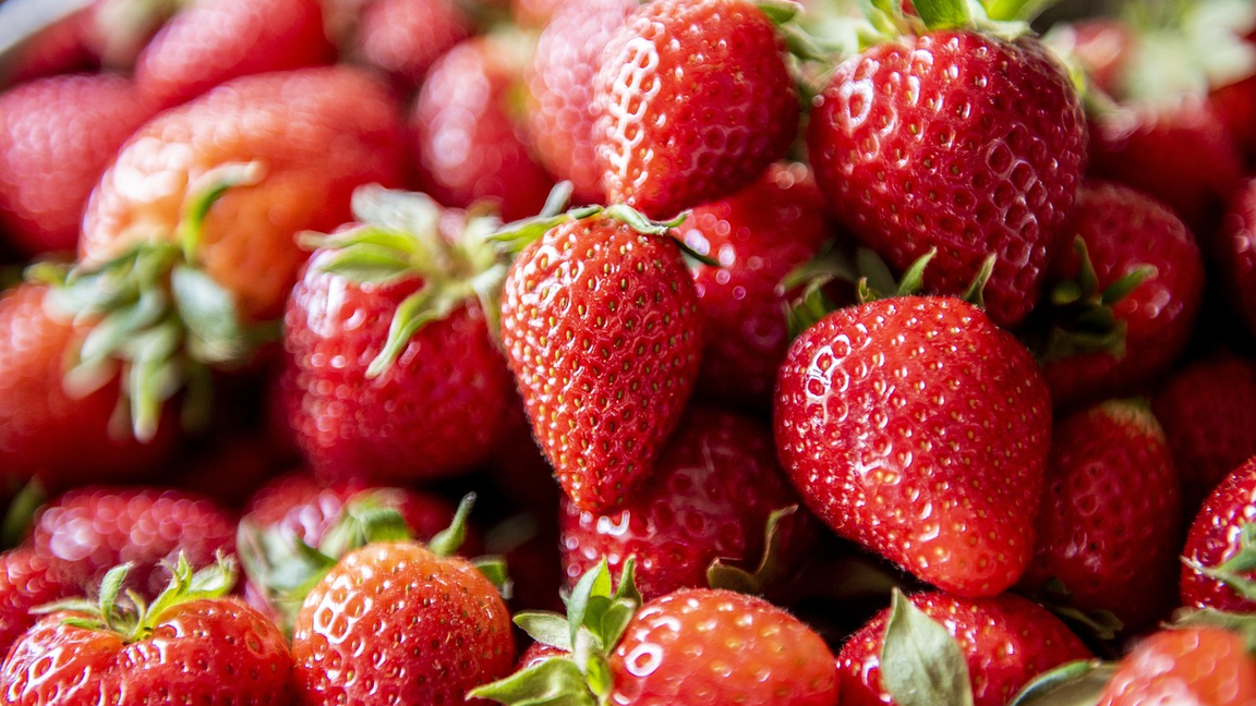 Journée Horticole de la Mauricie 2026