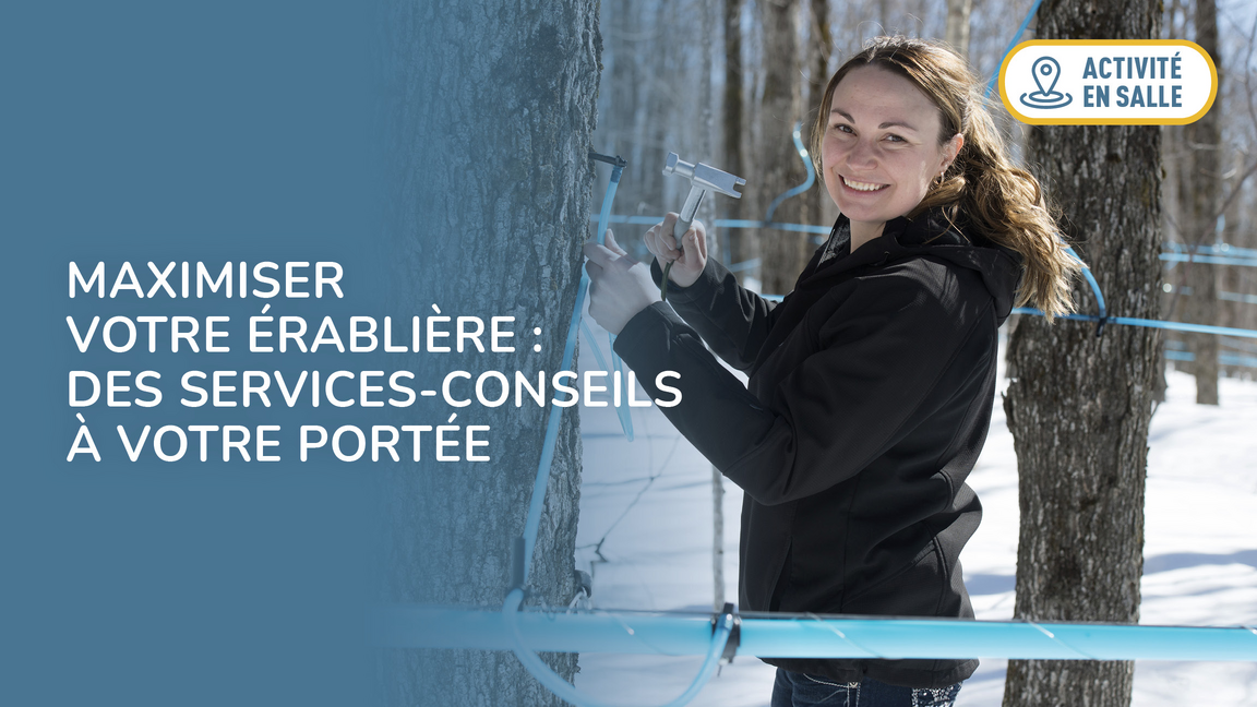 Maximiser votre érablière : des services-conseils à votre Portée