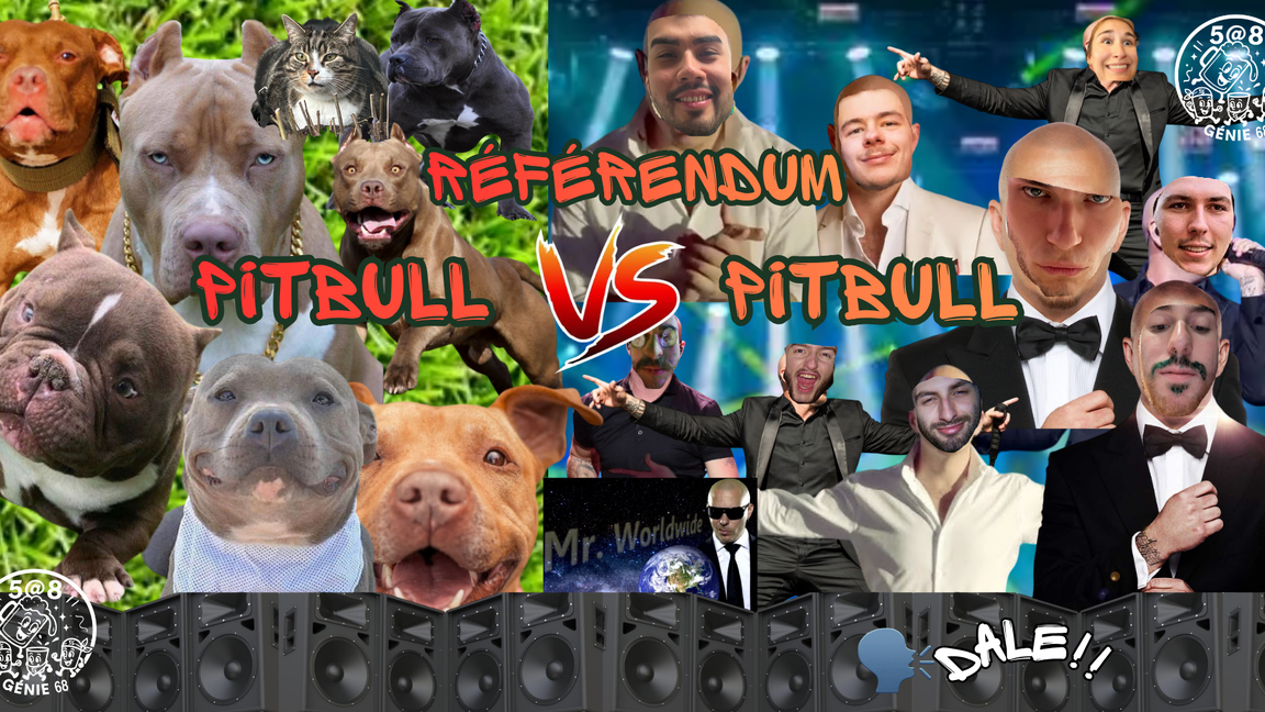 5@8 DE GÉNIE : «RÉFÉRENDUM PITBULL VS PITBULL»