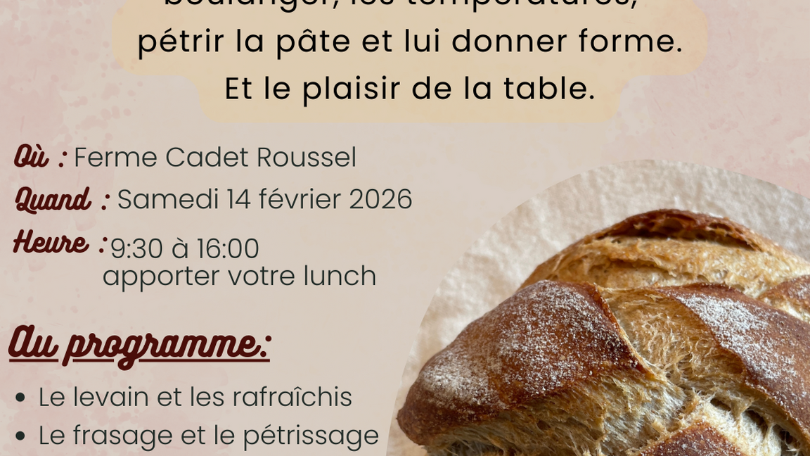Boulange au levain naturel