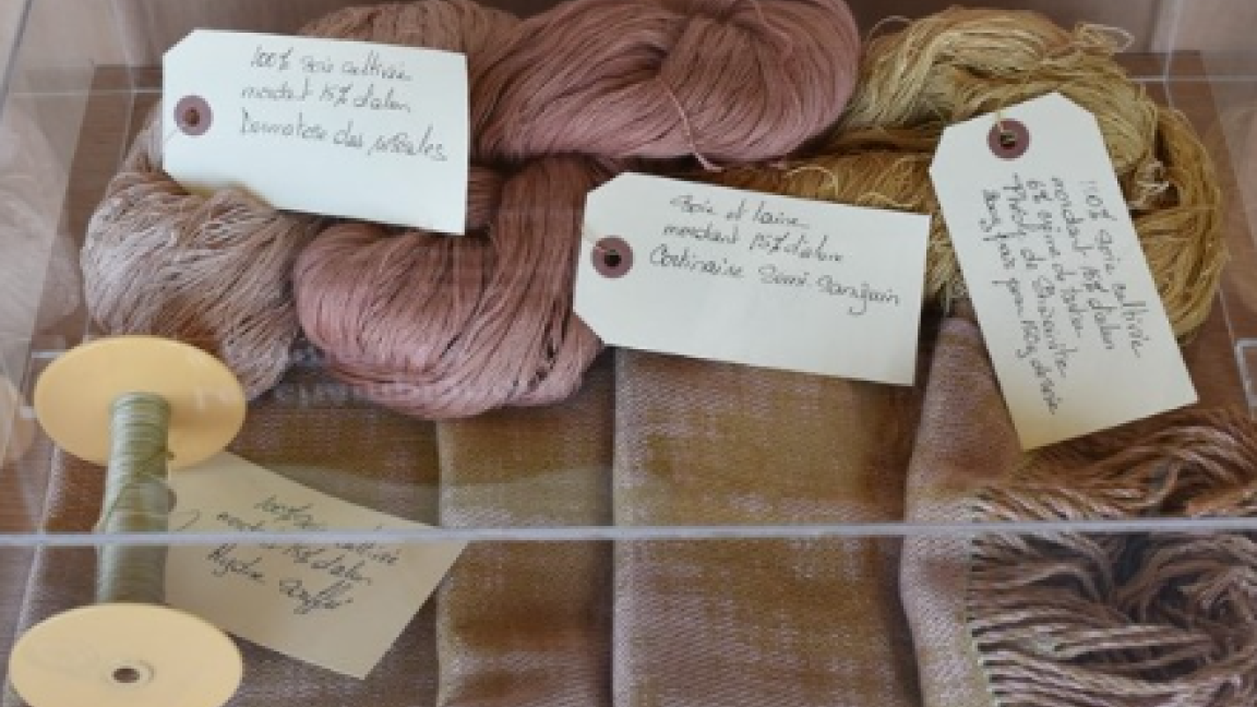 Atelier de teinture de textiles à l'aide de champignons