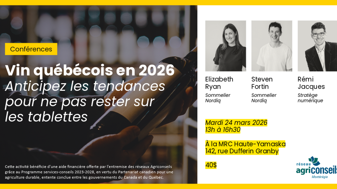 Vin québécois en 2026 : Anticipez les tendances pour ne pas rester sur les tablettes