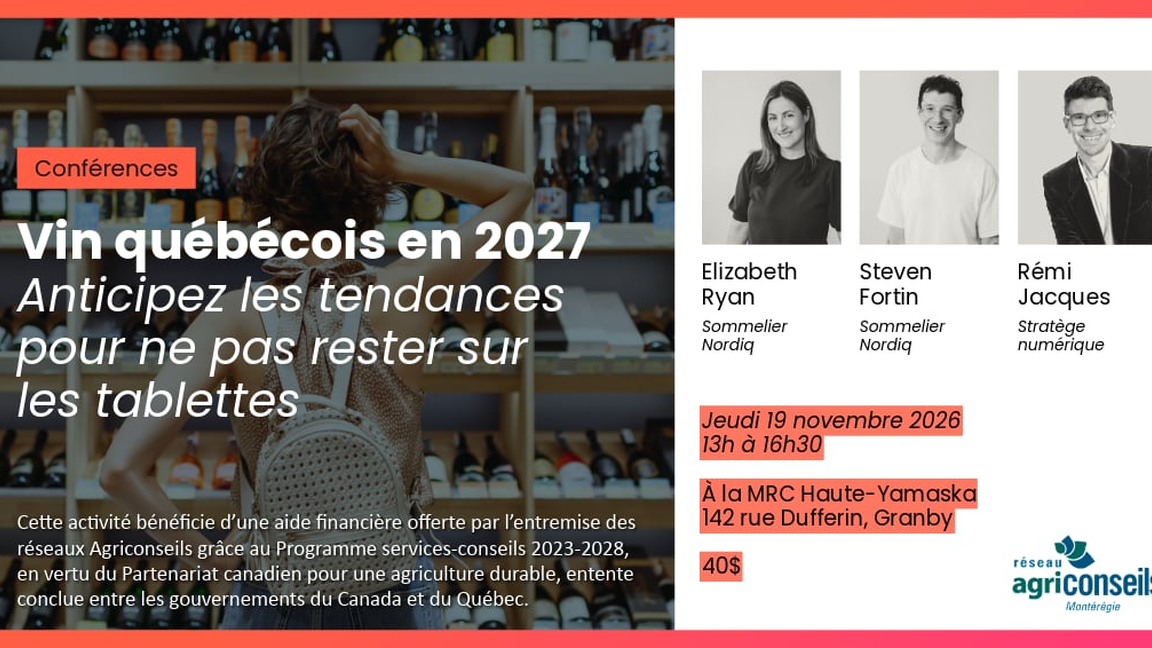 Vin québécois en 2027 : Anticipez les tendances pour ne pas rester sur les tablettes