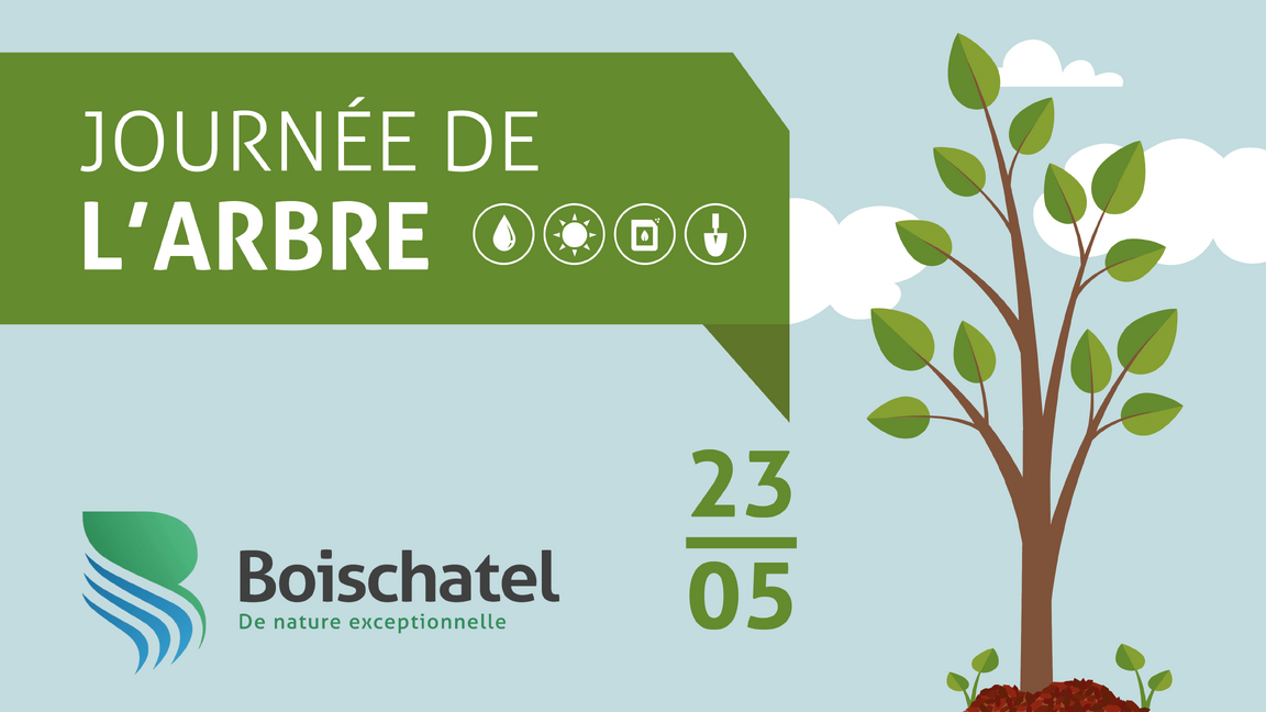 Journée de l'arbre