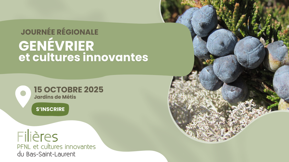 Journée régionale sur la filière genévrier et les cultures innovantes