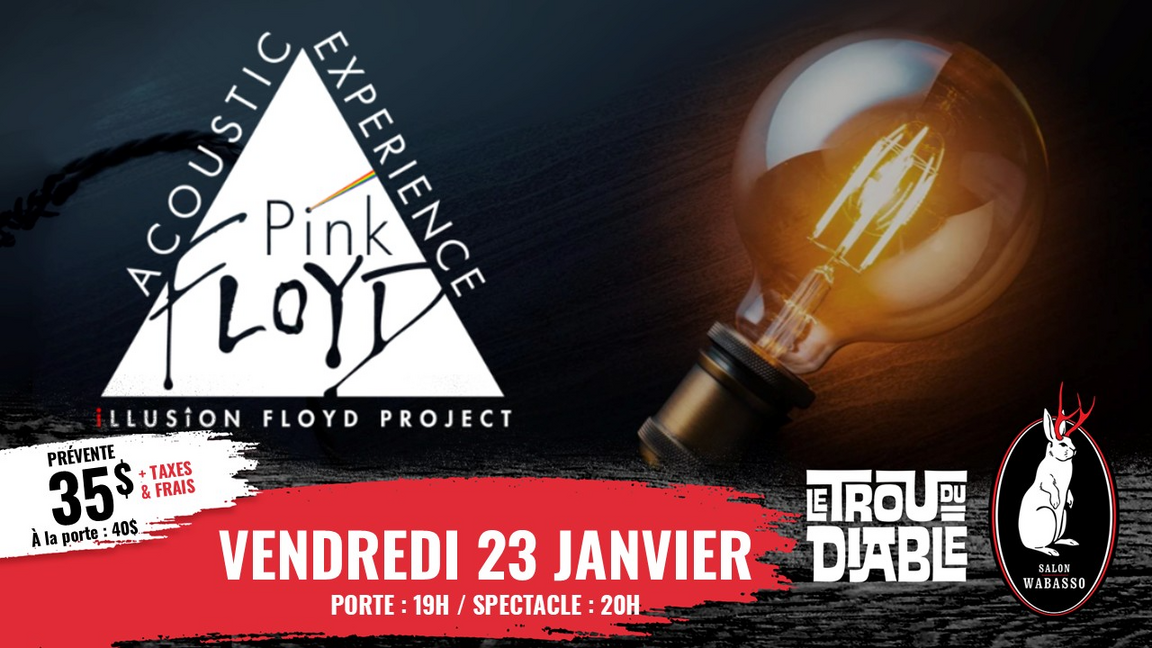 Pink Floyd Acoustic Experience