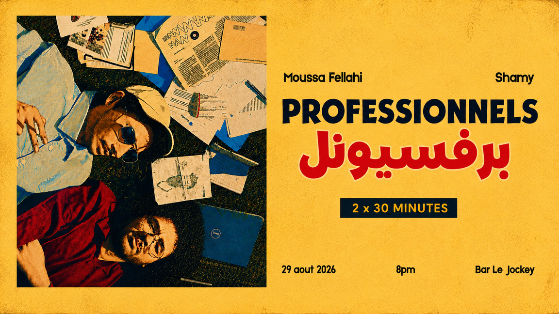 SPECTACLE D'HUMOUR - PROFESSIONNELS (30X30)