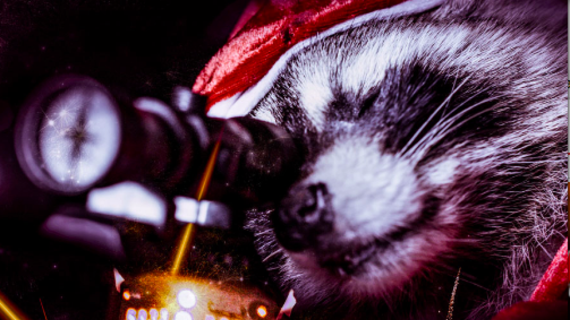 Killer Raccoons! 2! : Dark Christmas in the Dark