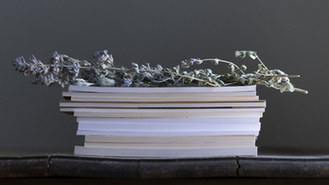 Solitude rompue | Cercle de lecture de poésie - hiver 2026