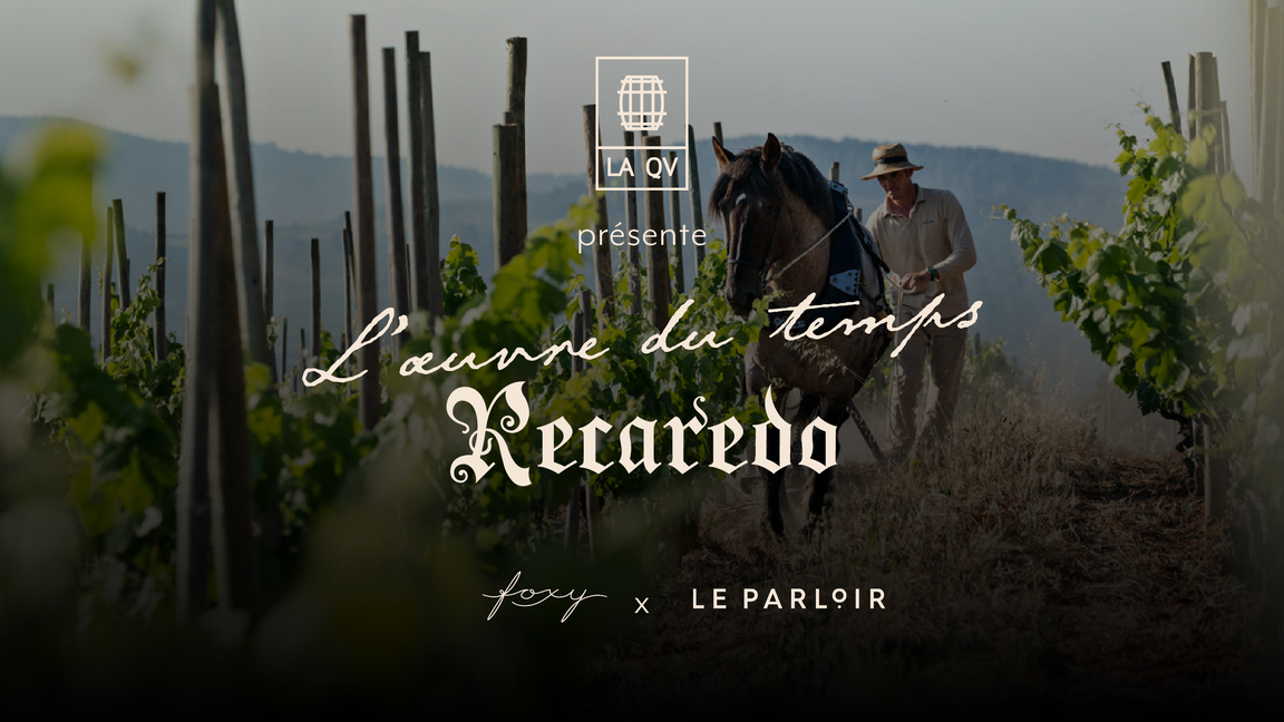 Dégustation Domaine Recaredo au Parloir