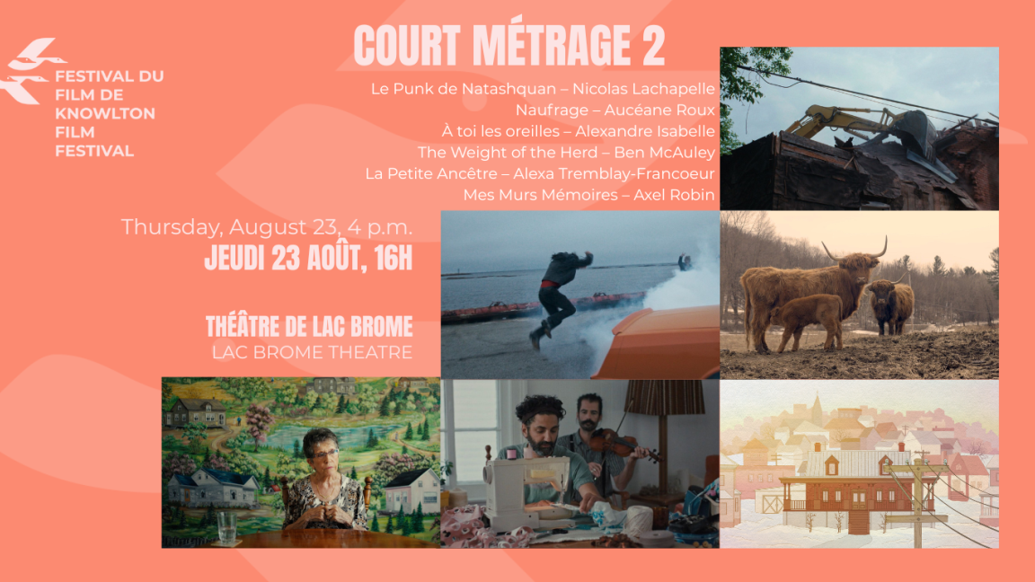 Compétition court-métrage 2 | Short film competition 2