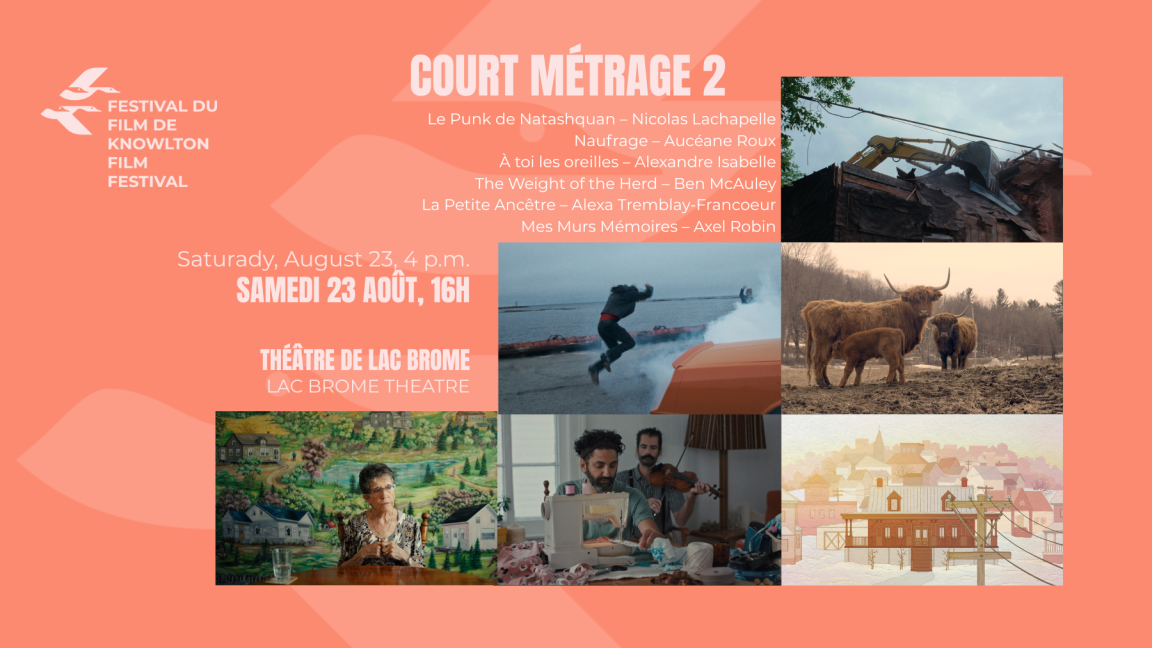Compétition court-métrage 2 | Short film competition 2