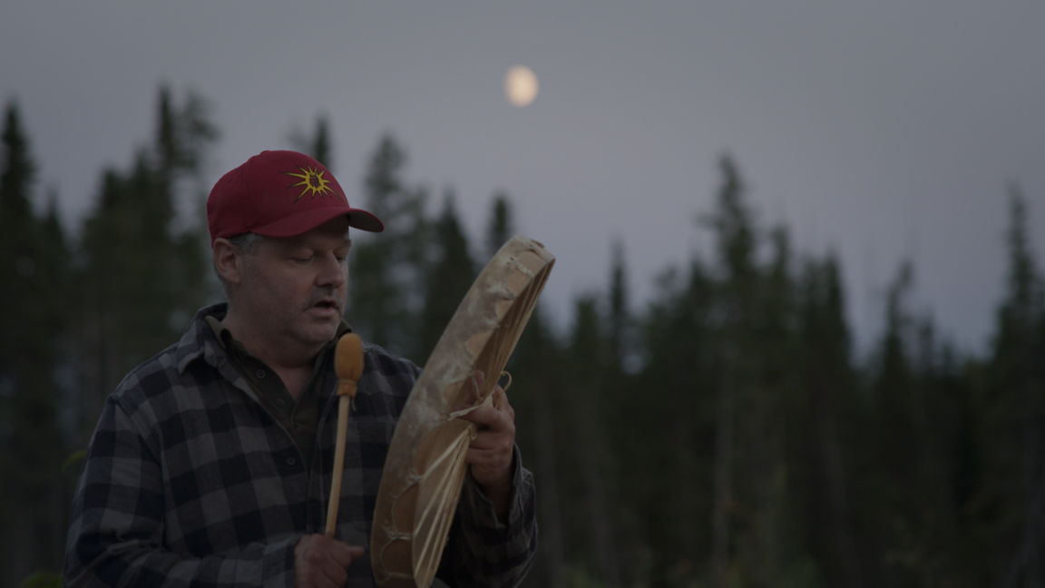 Projection DANS LA FORÊT, en collaboration avec le FESTI'BOIS