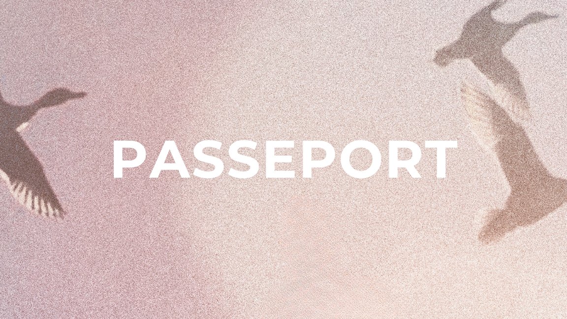PRÉVENTE | Passeport 2026 - Festival Pass 2026