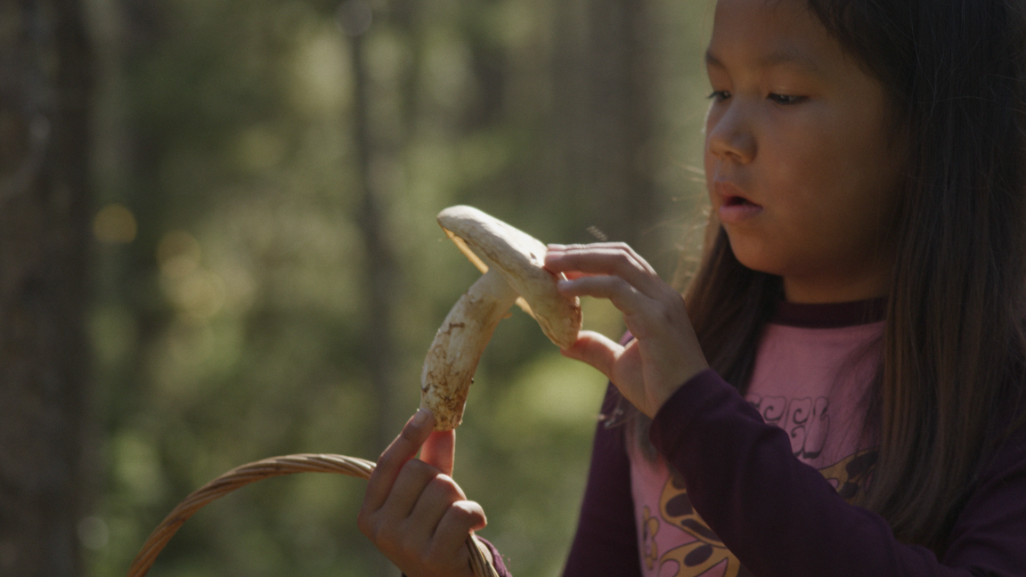 Dans la forêt, de Pascale Ferland | Projection