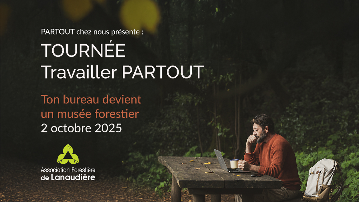 Travaillez PARTOUTᴹᴰ : ton bureau devient un musée forestier