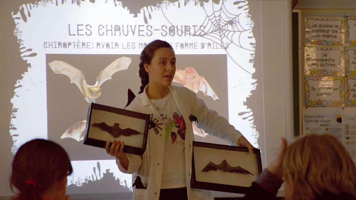 Toile d’araignée, frissons et chauves-souris (6 ans et plus) - INSCRIRE LES ENFANTS UNIQUEMENT