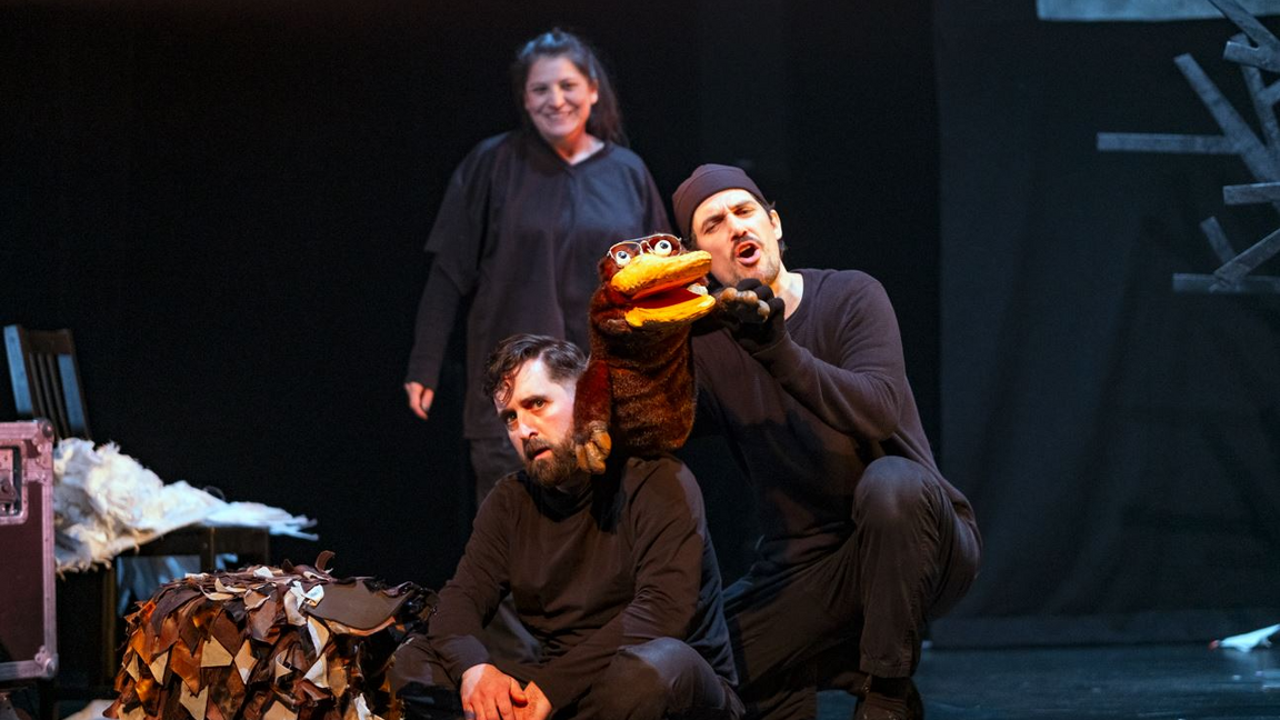 Ce que cache la forêt - Ombres folles (dès 8 ans)