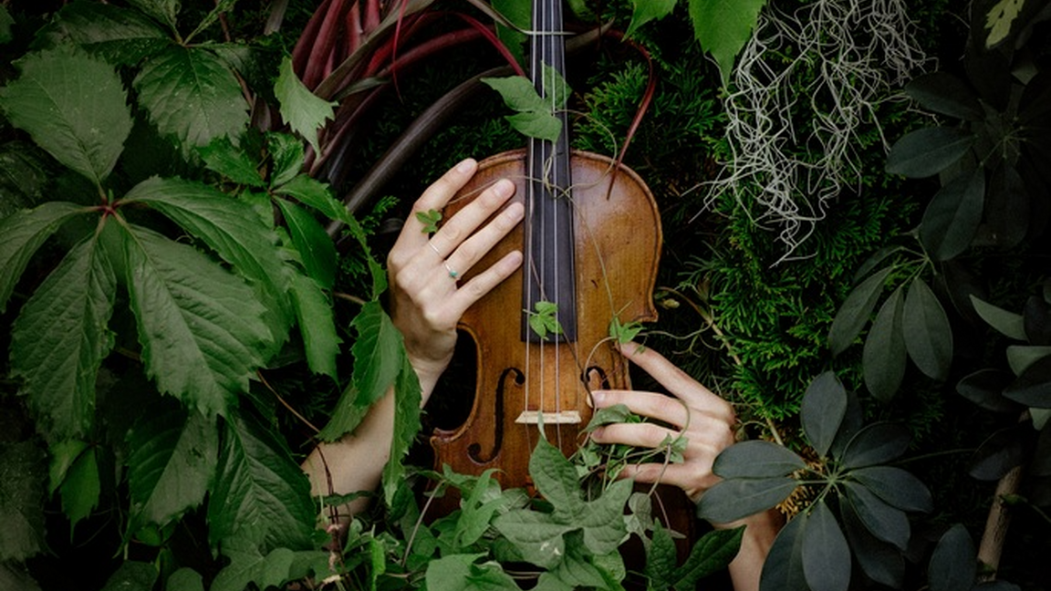 La jungle - Collectif La jungle