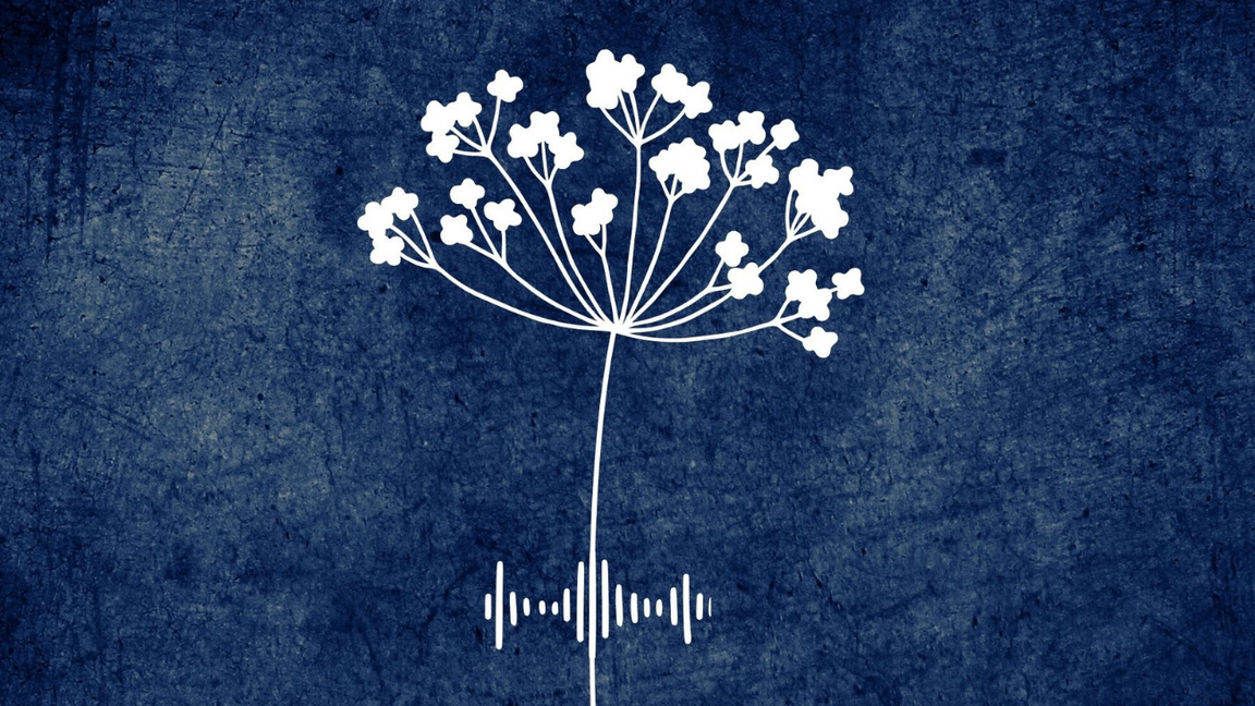 Herbier sonore