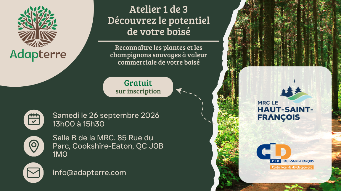 Atelier 1 de 3 - Découvrez le potentiel des PFNL de votre boisé