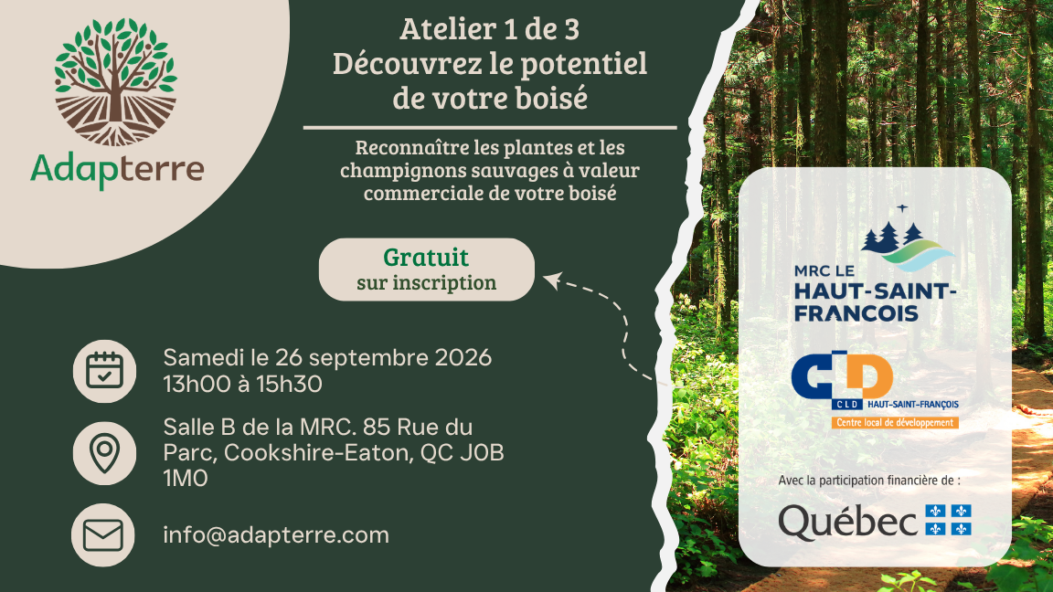 Atelier 1 de 3 - Découvrez le potentiel des PFNL de votre boisé