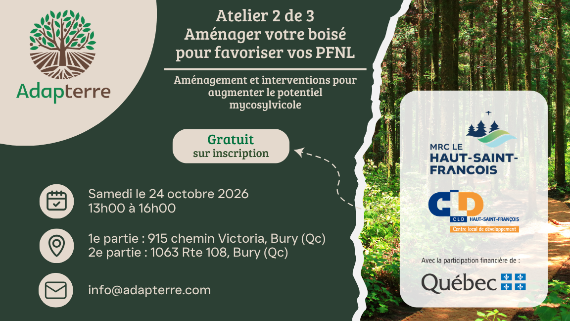 Atelier 2 de 3 - Aménager votre boisé pour favoriser vos PFNL
