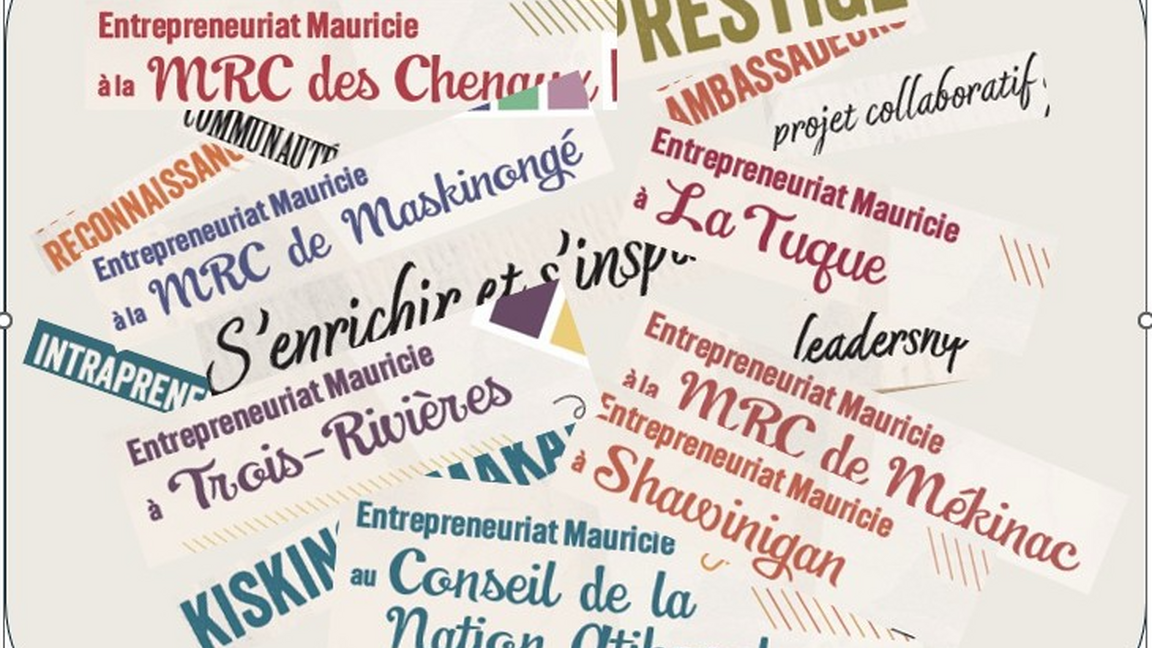 Entrepreneuriat Mauricie EN ACTION
