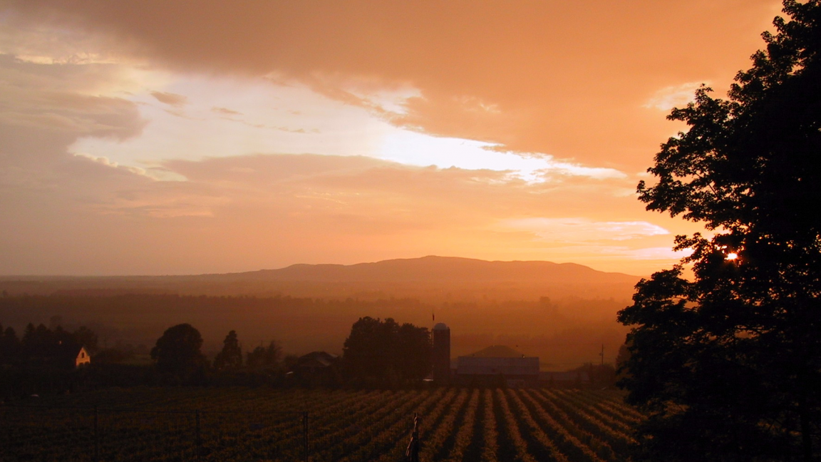 Soirée au Vignoble Les Petits Cailloux