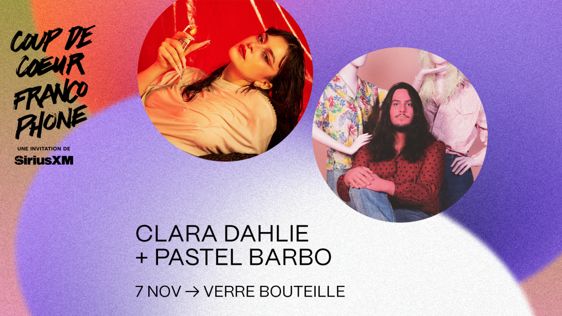 Clara Dahlie x Pastel Barbo x CCF