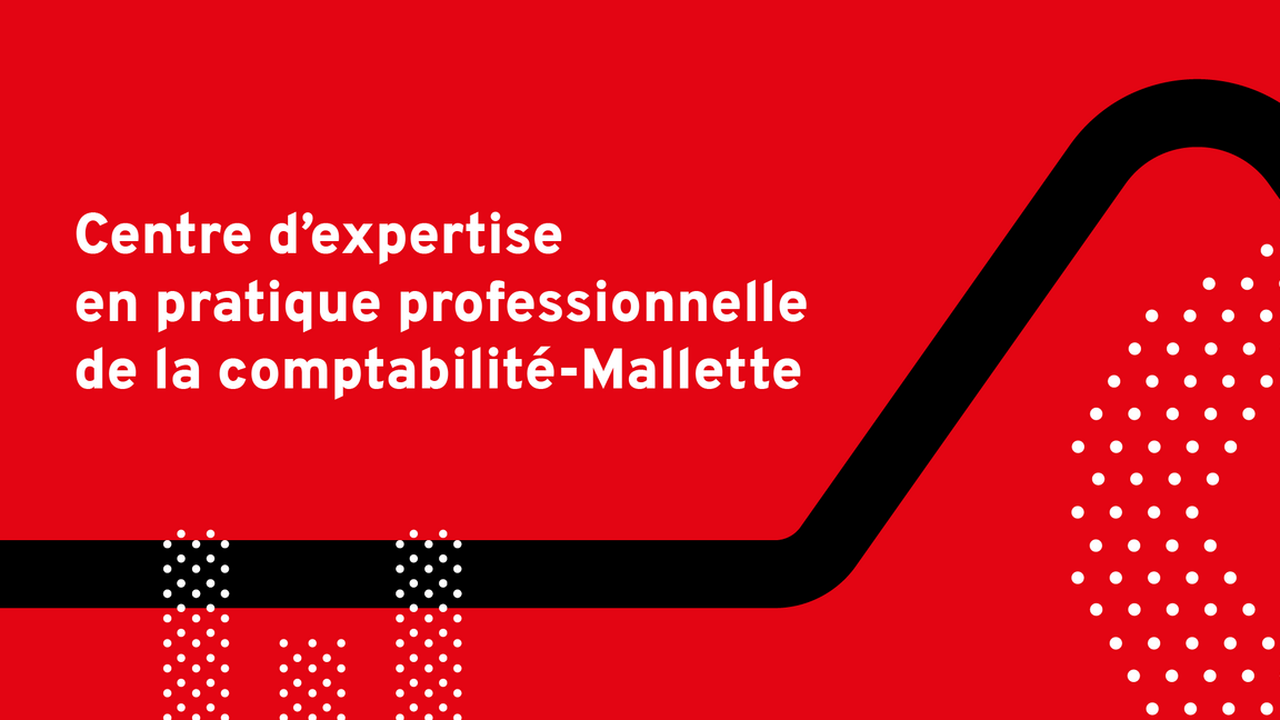 Dans la foulée du rapport Gallant: mise en œuvre des recommandations relatives à la gestion des risques et à l’audit interne
