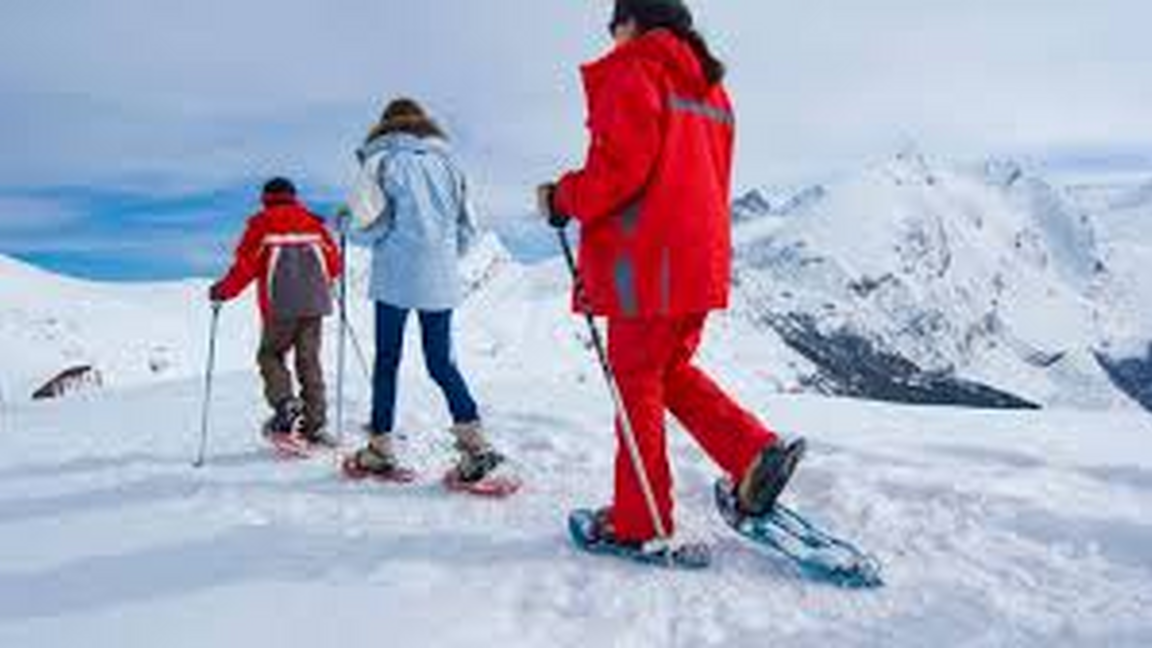 Centre d'Entraide l'Horizon