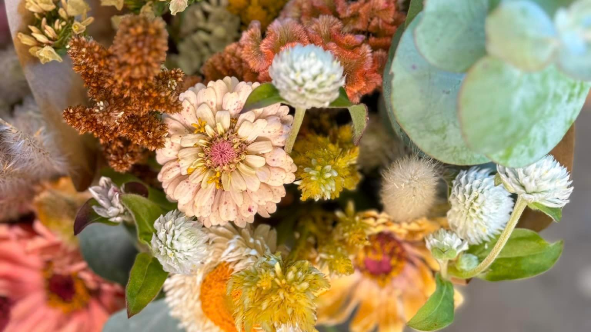 Autocueillette de fleurs : août 2025