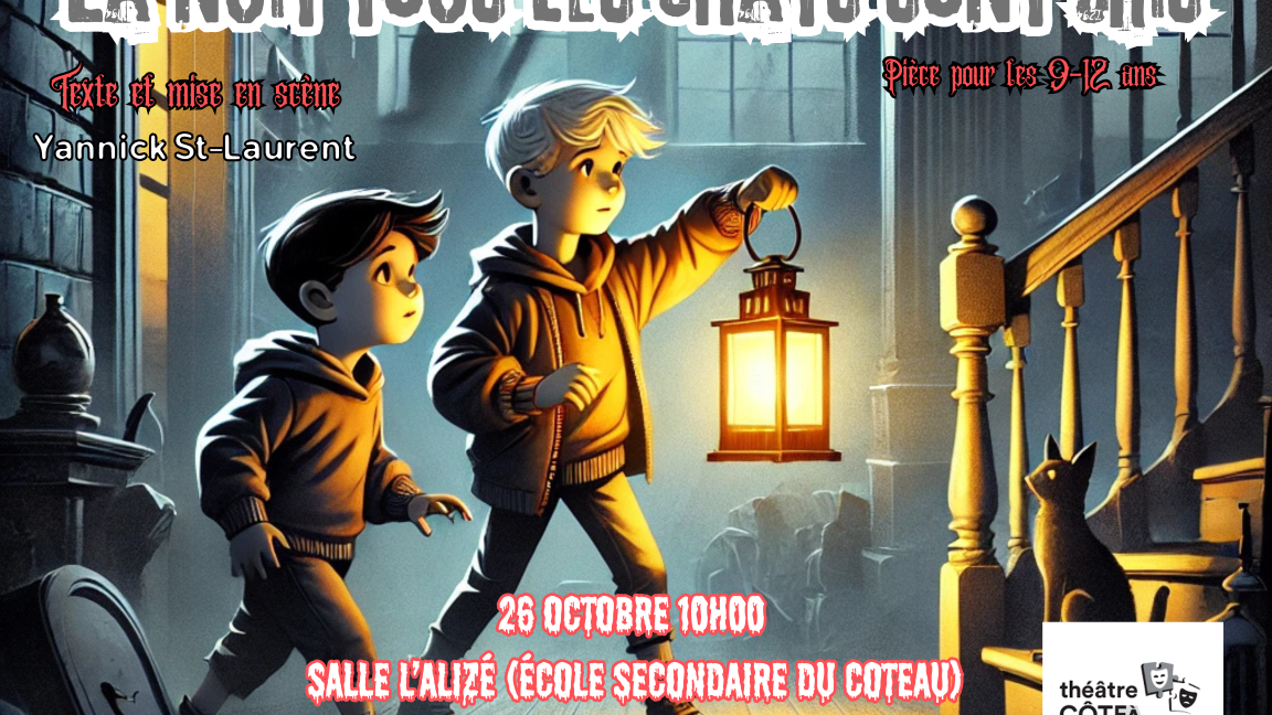 La nuit où tous les chats sont gris