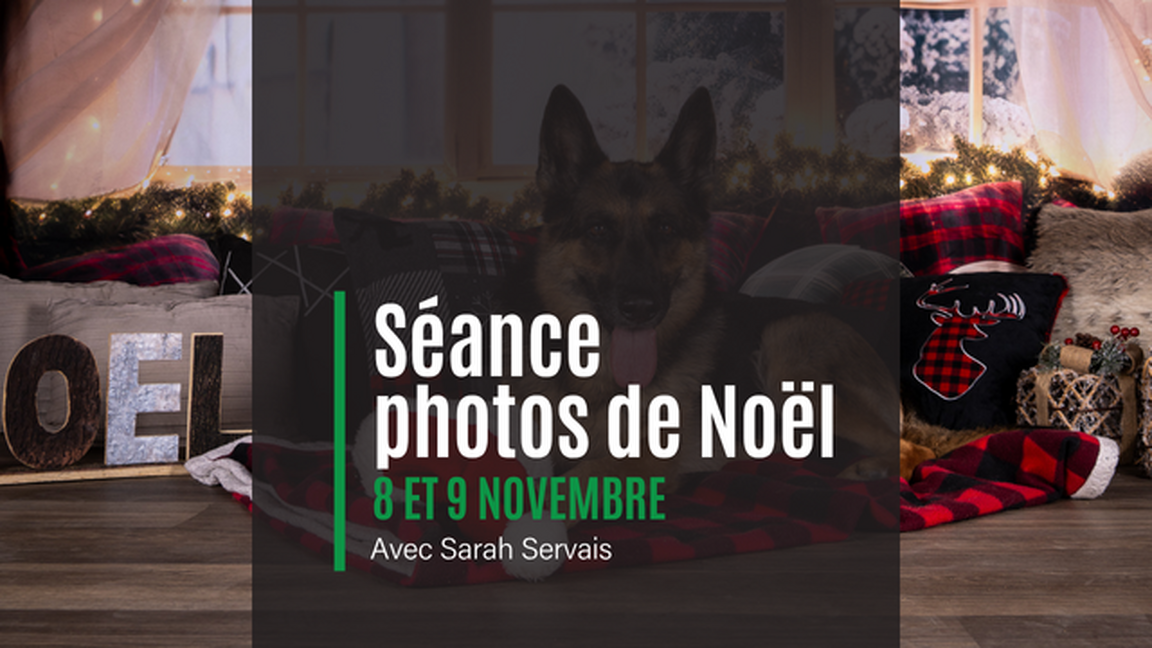 Séance photos de Noël avec Sarah Servais