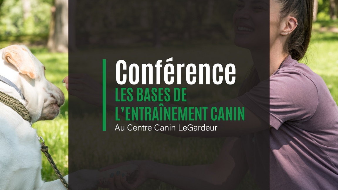 Conférence: Techniques de base en entraînement canin