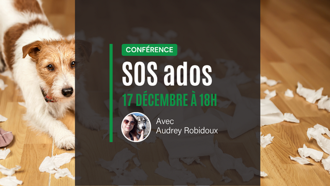 Conférence pour chiens adolescents: SOS Ado