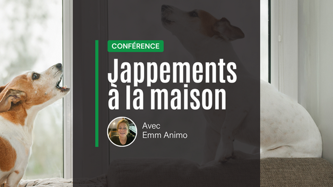 Conférence: Gérer et comprendre les jappements de votre chien à la maison
