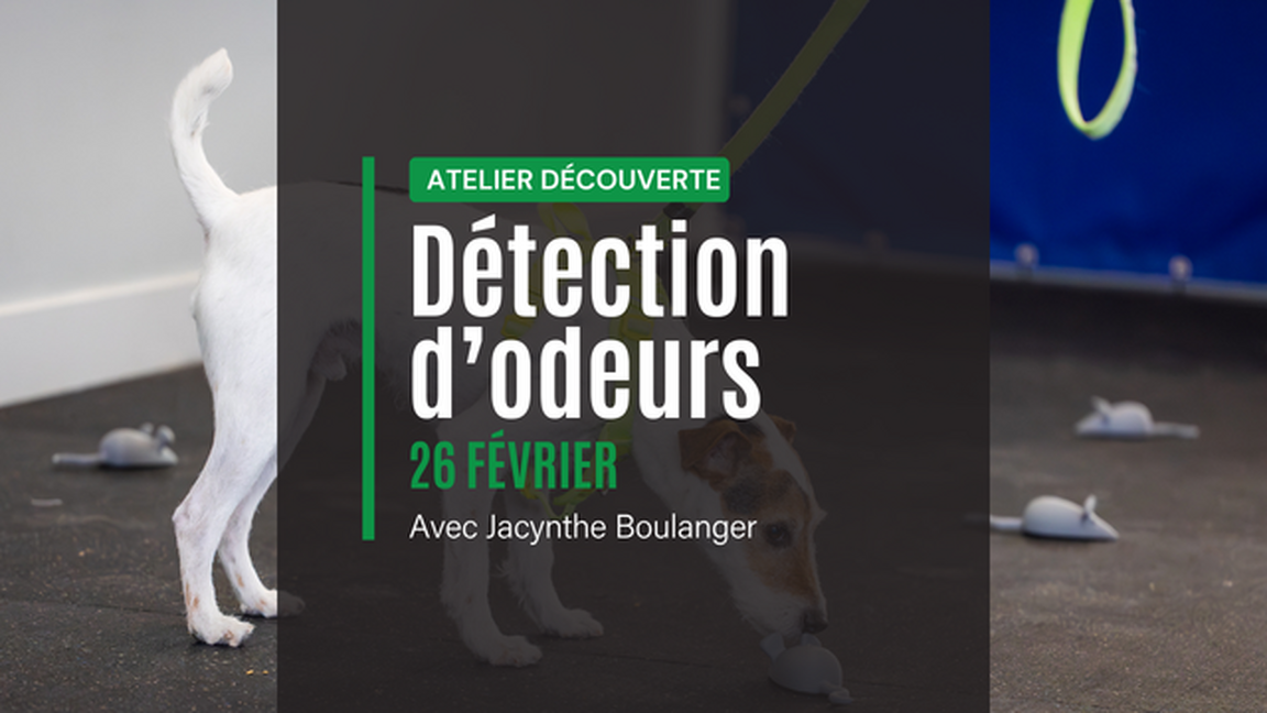 Atelier découverte - Détection d'odeurs