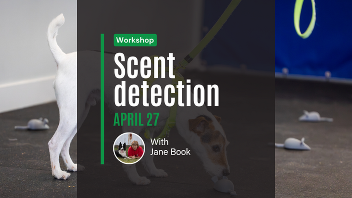 Scent Detection Workshop with Jane Book