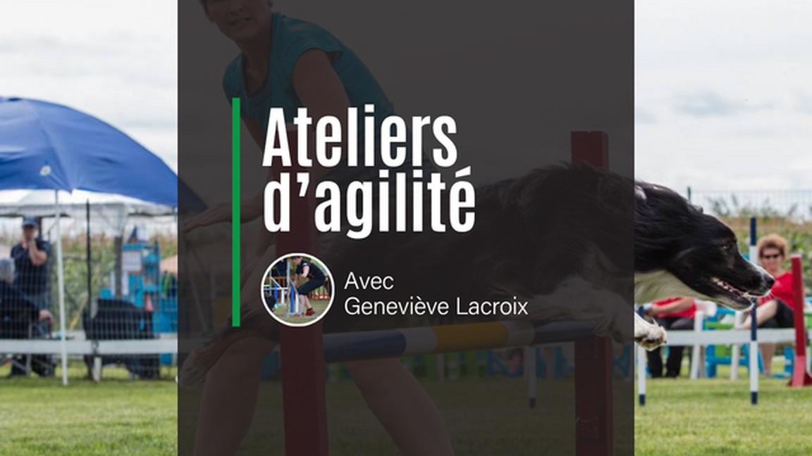 Ateliers d'agilité avec Geneviève Lacroix