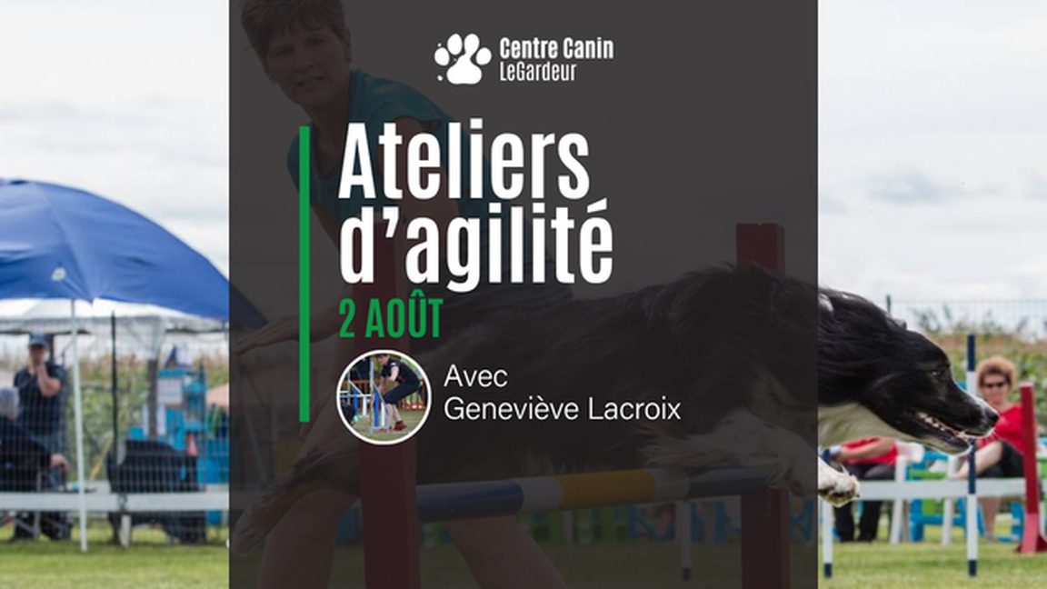 Ateliers d'agilité avec Geneviève Lacroix