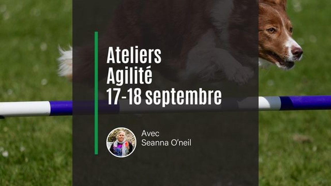 Atelier Agilité avec Seanna O'neil