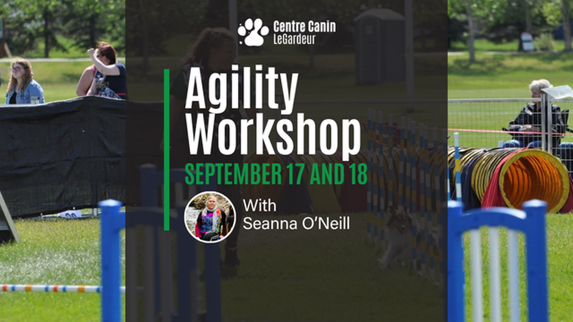 Agility Workshop with Seanna O'Neill
