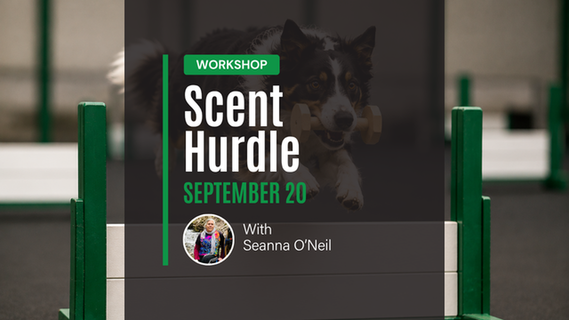 Atelier Scent Hurdle
